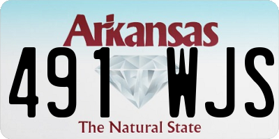 AR license plate 491WJS