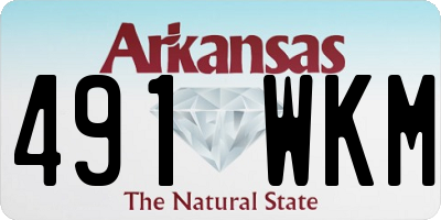 AR license plate 491WKM
