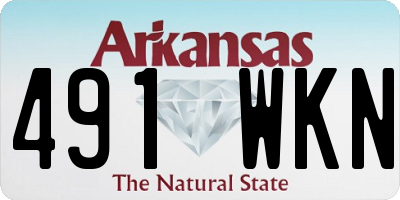 AR license plate 491WKN