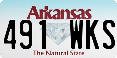 AR license plate 491WKS