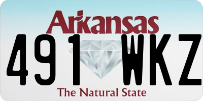AR license plate 491WKZ