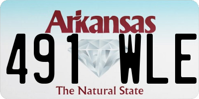 AR license plate 491WLE