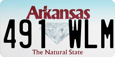 AR license plate 491WLM