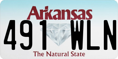 AR license plate 491WLN