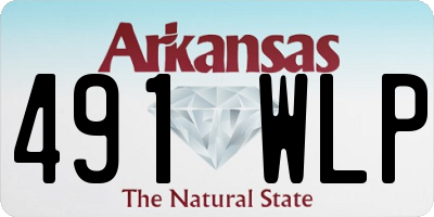 AR license plate 491WLP