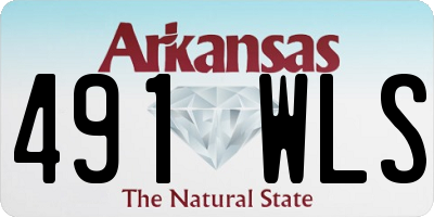 AR license plate 491WLS