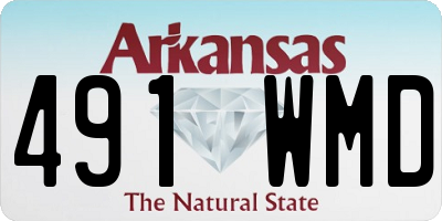 AR license plate 491WMD