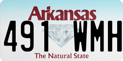 AR license plate 491WMH