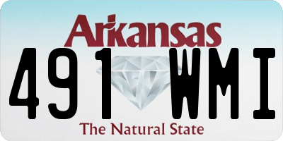 AR license plate 491WMI