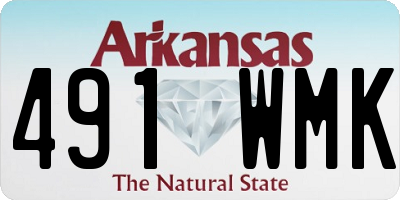 AR license plate 491WMK