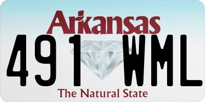 AR license plate 491WML