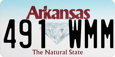 AR license plate 491WMM