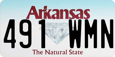 AR license plate 491WMN