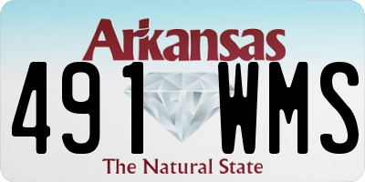 AR license plate 491WMS