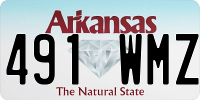 AR license plate 491WMZ