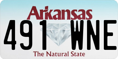 AR license plate 491WNE