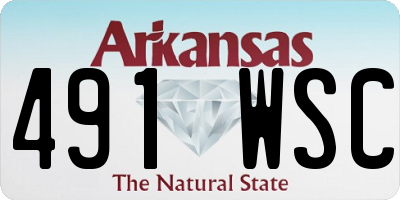 AR license plate 491WSC