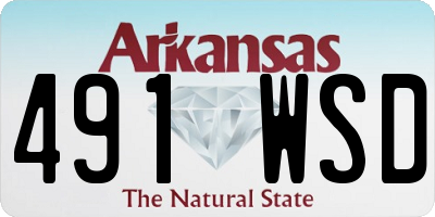 AR license plate 491WSD