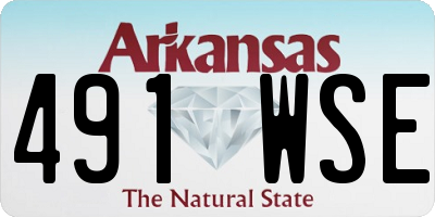 AR license plate 491WSE