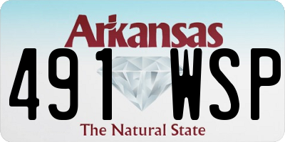 AR license plate 491WSP