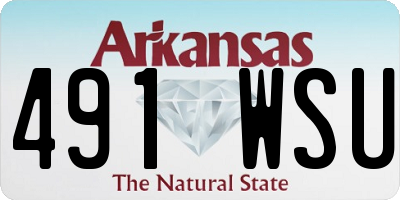 AR license plate 491WSU