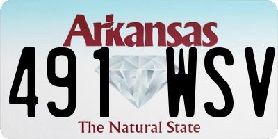 AR license plate 491WSV