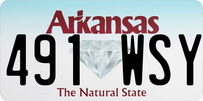 AR license plate 491WSY