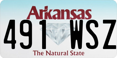 AR license plate 491WSZ