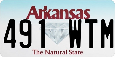 AR license plate 491WTM