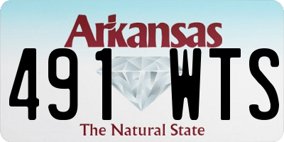 AR license plate 491WTS