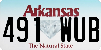 AR license plate 491WUB