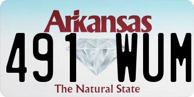 AR license plate 491WUM