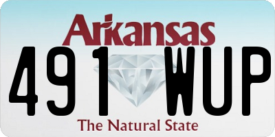 AR license plate 491WUP