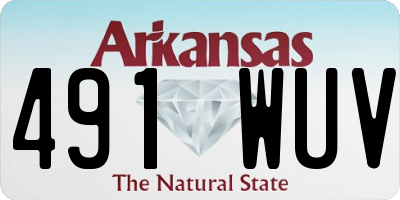 AR license plate 491WUV