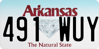 AR license plate 491WUY