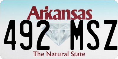AR license plate 492MSZ