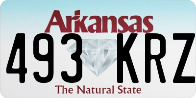 AR license plate 493KRZ