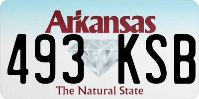 AR license plate 493KSB