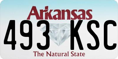 AR license plate 493KSC