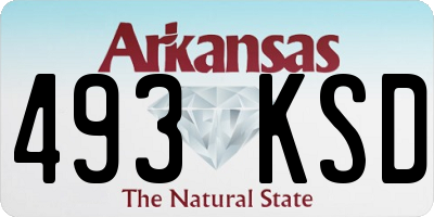 AR license plate 493KSD