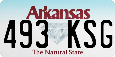AR license plate 493KSG
