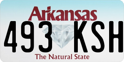 AR license plate 493KSH