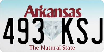 AR license plate 493KSJ