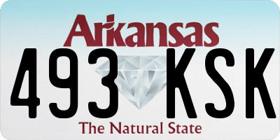 AR license plate 493KSK