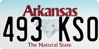 AR license plate 493KSO