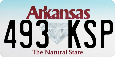 AR license plate 493KSP