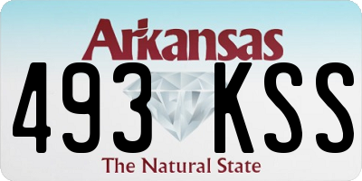 AR license plate 493KSS