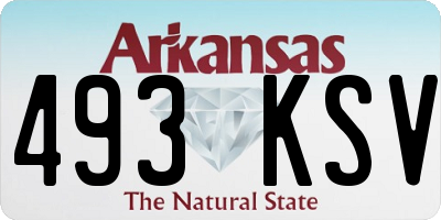 AR license plate 493KSV