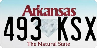 AR license plate 493KSX