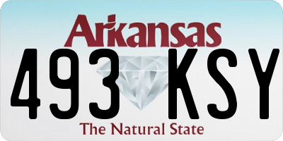 AR license plate 493KSY